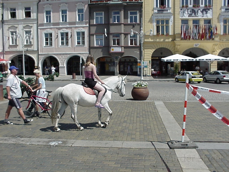 Erica Riding Horse In Ceske Budejovice 1.jpg